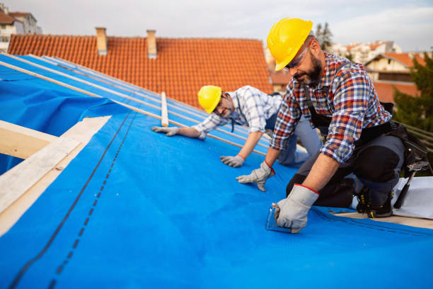 Best Roof Waterproofing  in Carnegie, PA